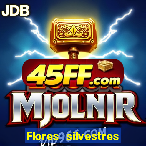 Flores silvestres brasileiras 25